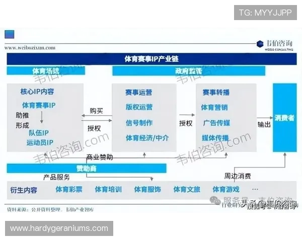 678体育网页版未来发展趋势：新技术应用与用户体验持续升级的前瞻分析