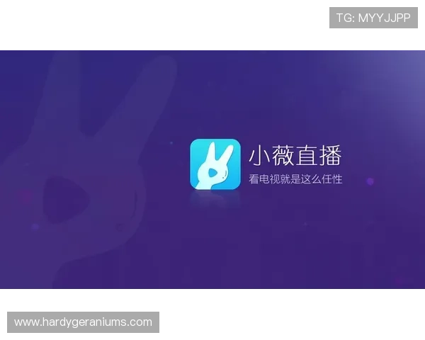 v体育电脑版如何优化观看体验，提升赛事直播的清晰度与流畅度