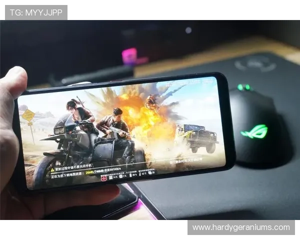 优发入口全面优化,提升游戏加载速度和操作流畅度,享受极致娱乐体验