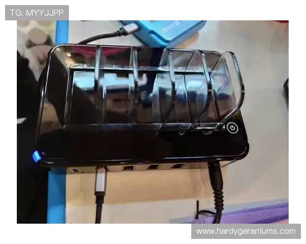 凯发开户步骤全攻略让你轻松完成注册快速进入精彩游戏世界