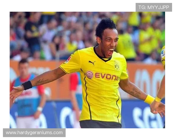 球长体育的专业赛事直播与回放服务，满足不同用户的观看需求，享受高品质的体育娱乐体验