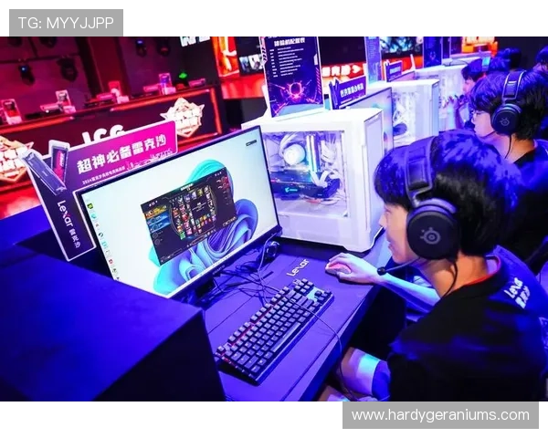 爱游戏网娱乐助力电竞产业发展，打造专业赛事新平台