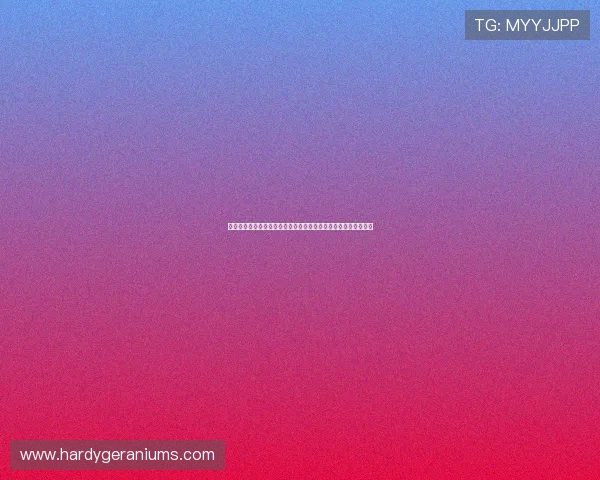 皇冠娱乐客服服务全方位提升用户体验解决游戏中遇到的各种问题