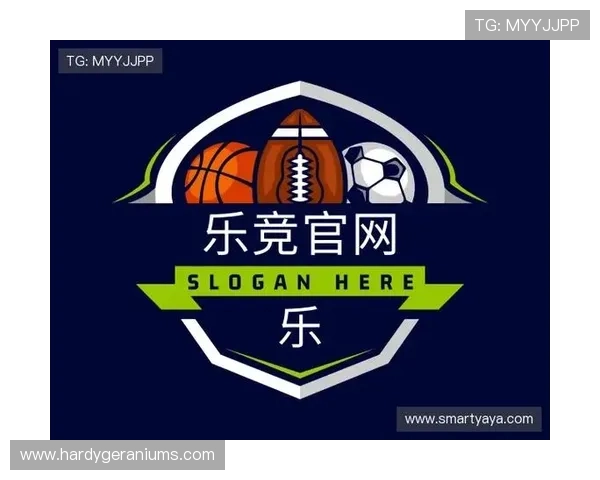 乐竞体育官网app安全保障措施，确保玩家个人信息与资金安全无忧