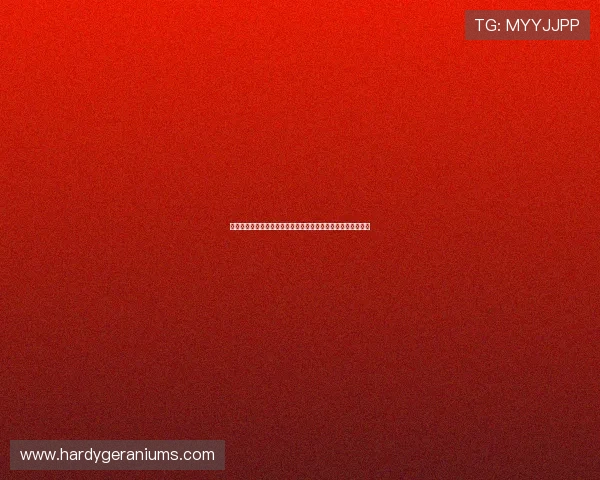 万事博体育娱乐平台的赔率分析与预测技巧，提升您的投注胜率