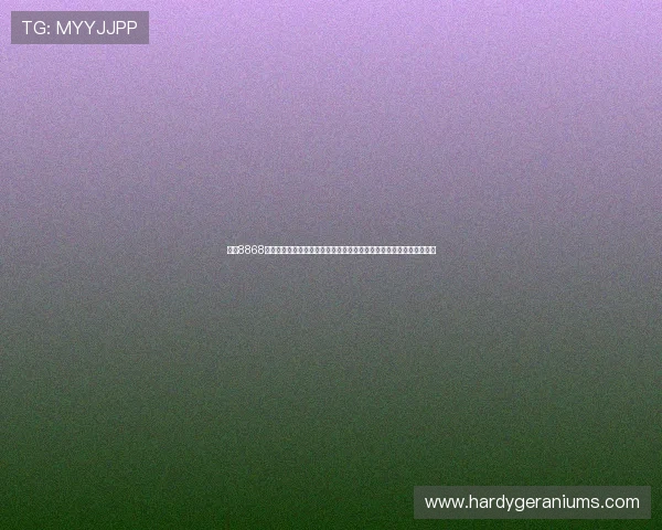 注册8868体育平台开户流程详解，快速开户指南帮助新手玩家轻松上手体育博彩