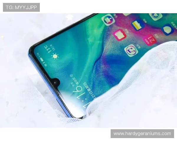 足球直播网页版优化界面设计让用户操作更加简便观看体验更加流畅