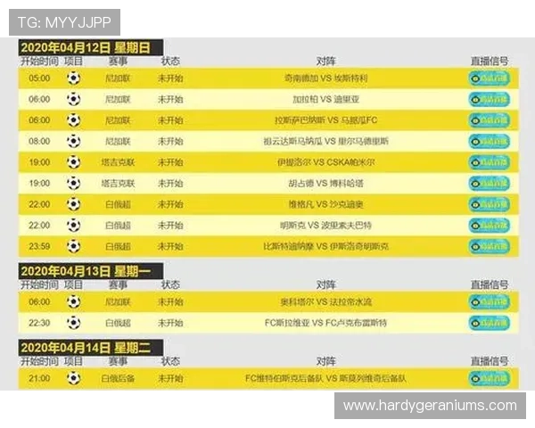 通过柠檬体育平台实现体育赛事的全方位报道与深度分析，满足不同用户需求